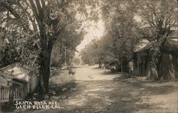 Looking Along Santa Rosa Ave. Glen Ellen, CA Postcard Postcard Postcard