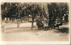 Scene in hotel grounds Postcard