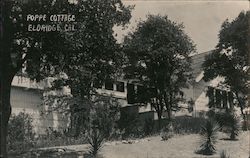 View of Poppe Cottage Postcard