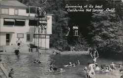 Swimming at its Best Postcard