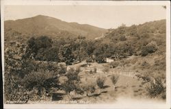 Mountain Home Ranch Calistoga, CA Postcard Postcard Postcard