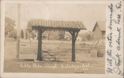 Public Water Trough Postcard