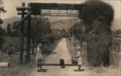 Shady Brook Farm and Resort Calistoga, CA Postcard Postcard Postcard