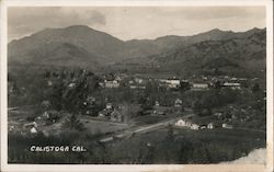 Bird's Eye View Postcard