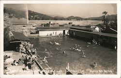 Pacheteau's Famous Mineral Springs Calistoga, CA Postcard Postcard Postcard