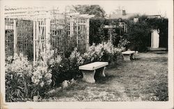 Garden View at Piner's Hot Springs Postcard