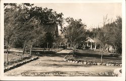 Beautiful walks at Myrtledale Hot Springs Calistoga, CA Postcard Postcard Postcard