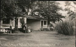 Double Cottage at "The Pines" Auto Camp Calistoga, CA Postcard Postcard Postcard