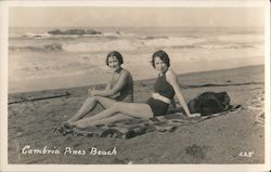 Cambria Pines Beach Postcard