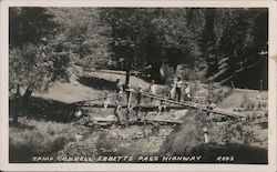 Ebbetts Pass Highway Camp Connell, CA Postcard Postcard Postcard