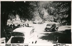 Camping - Upper Park Mitchell Canyon Clayton, CA Postcard Postcard Postcard