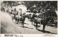 Start of a Trail Ride, Mitchell Canyon Clayton, CA Postcard Postcard Postcard