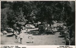 Picnicking at Lower Park, Mitchell Canyon Clayton, CA Postcard Postcard Postcard