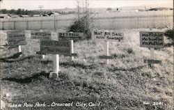 Totem Pole Park Crescent City, CA Postcard Postcard Postcard