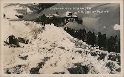 Digging out stranded R.R. Snow Plows Donner Summit Postcard