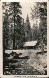 Camp Connell Dorrington, CA Postcard Postcard Postcard