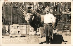 Louis Roth & Leo - Goebel's Lion Farm El Monte, CA Postcard Postcard Postcard