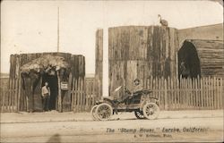 The "Stump House" Postcard