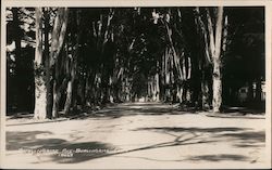 Burlingame Avenue California Postcard Postcard Postcard