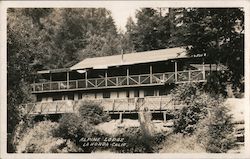 Alpine Lodge Postcard