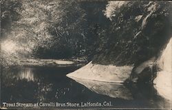 Trout Stream at Cavallie Bros. Store Postcard