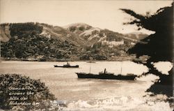 Sausalito Crowns the Hills over Richardson Bay California Postcard Postcard Postcard