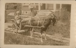 Young Boy in Wicker Goat Cart Children Postcard Postcard Postcard