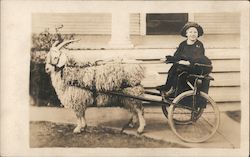 Girl in Goat Cart Children Postcard Postcard Postcard