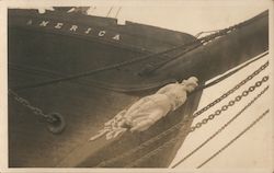 Front Bow of Ship "America" with Statue Boats, Ships Postcard Postcard Postcard