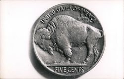 Buffalo Nickel Postcard