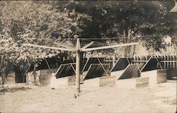 Clothesline and Garden Beds Postcard