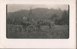 Horse drawn wagon in field with couple Couples Postcard Postcard Postcard