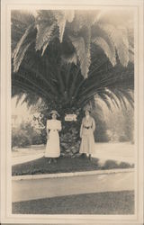 2 Ladies in Hats, standing with palm tree that has a "For Sale" Sign Postcard