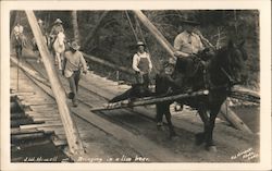 Bringing in a live bear. Using travois pulled by horse. Postcard