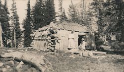 Log cabin in forest with extra outer covering Postcard