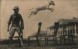 Dog act. Man watches Dog leap 4 wooden chairs. Dogs Postcard Postcard Postcard