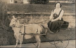 Woman smiling in a Goat-Drawn Cart Transportation Postcard Postcard Postcard