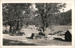 The Pines Bass Lake, CA Postcard Postcard Postcard