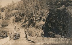 Bidwell Bar Bridge and Orange Tree Postcard