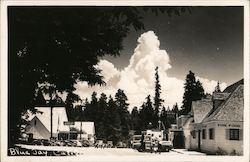 Blue Jay, California Postcard Postcard Postcard