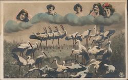 Women in Clouds with Storks Fantasy Postcard Postcard Postcard