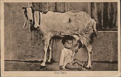 Goat Baby - young boy and a goat Goats Postcard Postcard Postcard