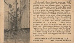 Immigration Restriction League Postcard