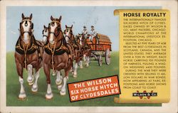 The Wilson Six Horse Hitch of Clydesdales - Wilson & Co Postcard