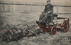 Cottonwood Pigs Idaho Postcard Postcard Postcard