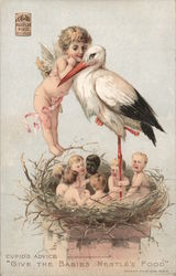 Cupid's Advice "Give the Babies Nestle's Food" Postcard