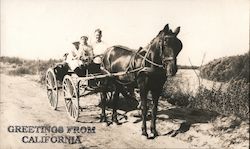 Greetings from California - People in a horse-drawn wagon Postcard