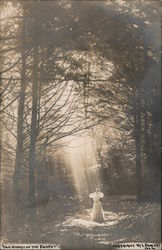 "The Heart of the Forest" Woman standing in the forest in an array of sunshine Postcard