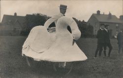 Swan Decorated Bicycle, Parade? Bicycles Postcard Postcard Postcard