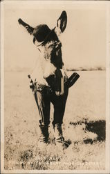 Jack Ass - Friend of the Great American Desert Donkeys Postcard Postcard Postcard